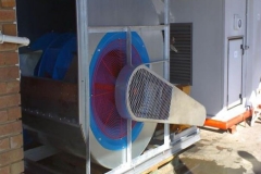 Image8